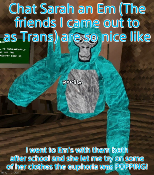 I felt so happyyyy | Chat Sarah an Em (The friends I came out to as Trans) are so nice like; I went to Em's with them both after school and she let me try on some of her clothes the euphoria was POPPING! | image tagged in monkey | made w/ Imgflip meme maker