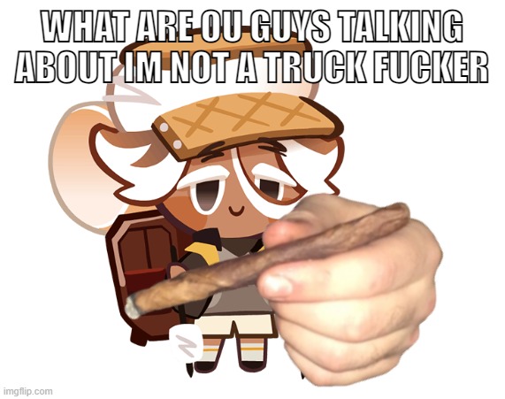 smore cookie with a blunt | WHAT ARE OU GUYS TALKING ABOUT IM NOT A TRUCK FUCKER | image tagged in smore cookie with a blunt | made w/ Imgflip meme maker