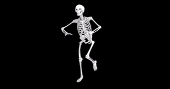 Skeleton dancing lol Blank Meme Template