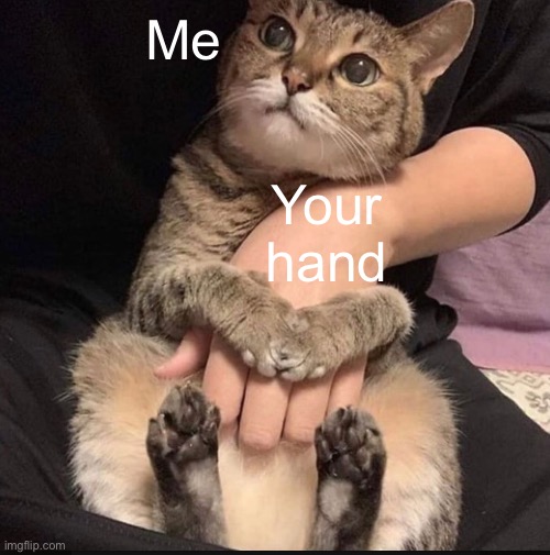 Me Your hand | made w/ Imgflip meme maker