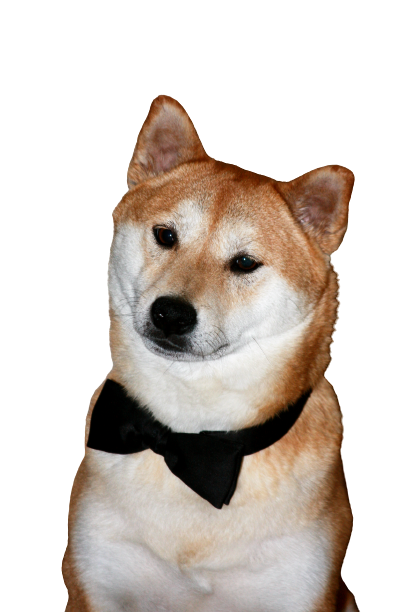 Fancy Shiba Blank Meme Template