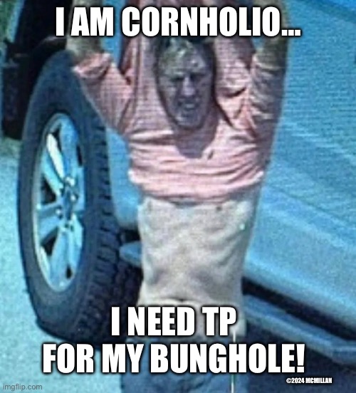 Ryan Routh Cornholio | I AM CORNHOLIO…; I NEED TP FOR MY BUNGHOLE! ©2024 MCMILLAN | image tagged in beavis and butthead,cornholio,beavis cornholio | made w/ Imgflip meme maker