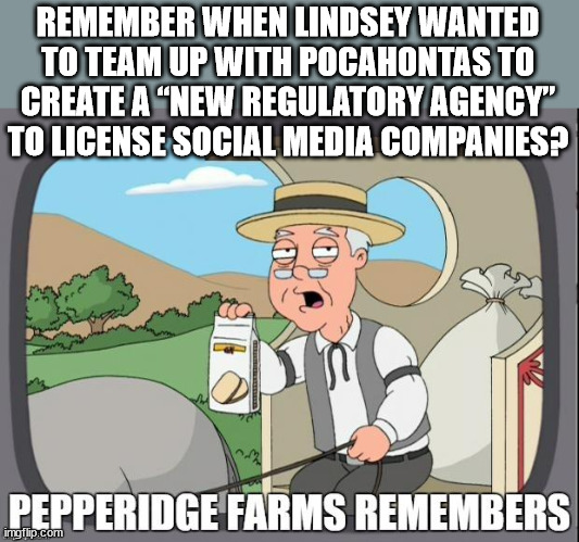 PEPPERIDGE FARMS REMEMBERS | REMEMBER WHEN LINDSEY WANTED TO TEAM UP WITH POCAHONTAS TO CREATE A “NEW REGULATORY AGENCY” TO LICENSE SOCIAL MEDIA COMPANIES? | image tagged in pepperidge farms remembers | made w/ Imgflip meme maker