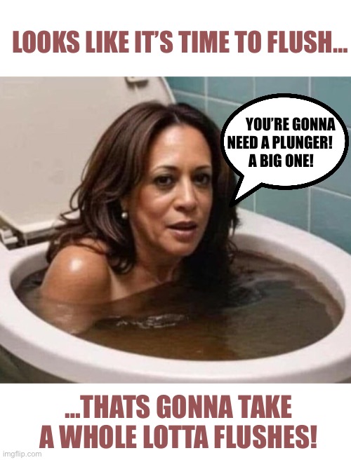 Kamala Harris Poop in Toilet | LOOKS LIKE IT’S TIME TO FLUSH…; YOU’RE GONNA NEED A PLUNGER! A BIG ONE! …THATS GONNA TAKE A WHOLE LOTTA FLUSHES! | image tagged in kamala harris poop in toilet | made w/ Imgflip meme maker