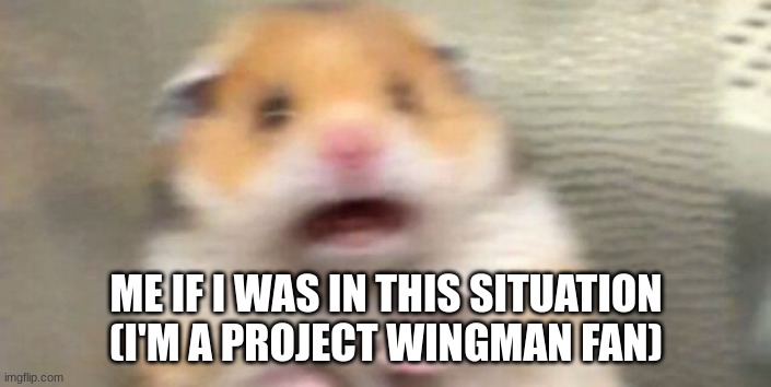 Screaming Hampster | ME IF I WAS IN THIS SITUATION (I'M A PROJECT WINGMAN FAN) | image tagged in screaming hampster | made w/ Imgflip meme maker