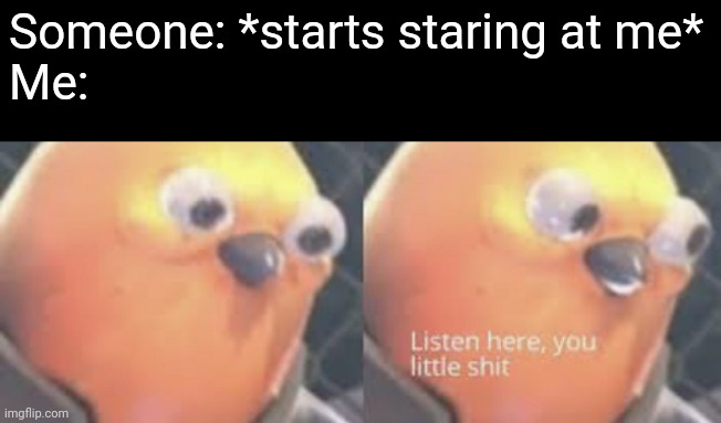 Hate when they stare | Someone: *starts staring at me*
Me: | image tagged in listen here you little shit bird | made w/ Imgflip meme maker