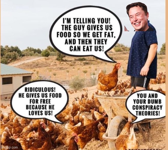 Chickens coming home to roost | image tagged in elon musk,conspiracy theory,conspiracy,chickens,food | made w/ Imgflip meme maker