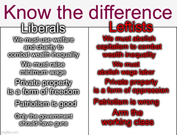 Know the difference | Know the difference; Leftists; Liberals; We must abolish capitalism to combat wealth inequality; We must use welfare and charity to combat wealth inequality; We must abolish wage labor; We must raise minimum wage; Private property is a form of oppression; Private property is a form of freedom; Patriotism is good; Patriotism is wrong; Arm the working class; Only the government should have guns | image tagged in side-by-side panels | made w/ Imgflip meme maker