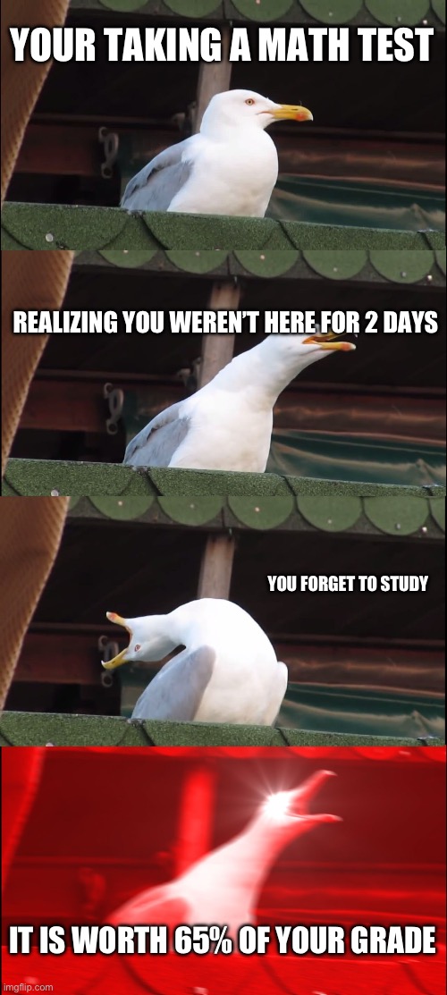 I’m cooked | YOUR TAKING A MATH TEST; REALIZING YOU WEREN’T HERE FOR 2 DAYS; YOU FORGET TO STUDY; IT IS WORTH 65% OF YOUR GRADE | image tagged in memes,inhaling seagull | made w/ Imgflip meme maker