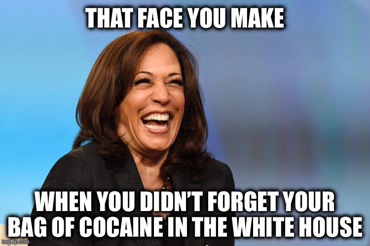 Kamala Harris laughing | THAT FACE YOU MAKE; WHEN YOU DIDN’T FORGET YOUR BAG OF COCAINE IN THE WHITE HOUSE | image tagged in kamala harris laughing,donald trump,election 2024,cocaine,cocaine is a hell of a drug | made w/ Imgflip meme maker