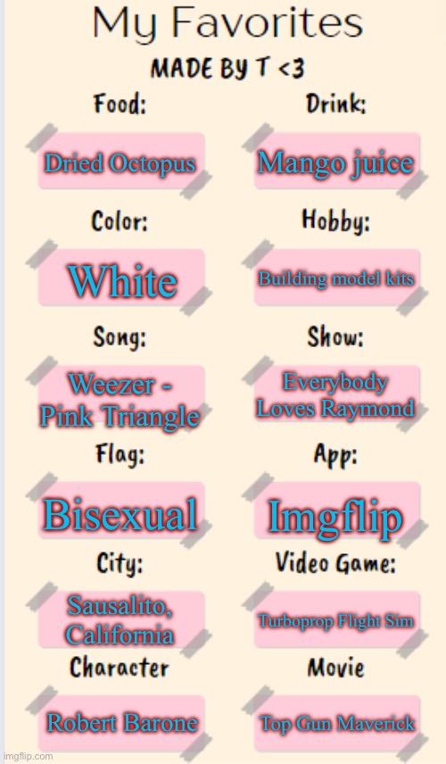 My Favorites made by T | Mango juice; Dried Octopus; Building model kits; White; Weezer - Pink Triangle; Everybody Loves Raymond; Bisexual; Imgflip; Sausalito, California; Turboprop Flight Sim; Robert Barone; Top Gun Maverick | image tagged in my favorites made by t | made w/ Imgflip meme maker