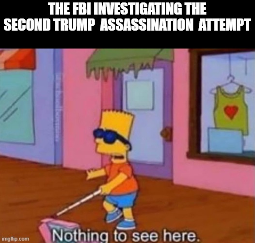 Nothing to see here | THE FBI INVESTIGATING THE SECOND TRUMP  ASSASSINATION  ATTEMPT | image tagged in nothing to see here,trump,democrats,fbi,bart simpson | made w/ Imgflip meme maker