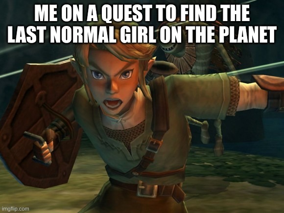 Link Legend of Zelda Yelling | ME ON A QUEST TO FIND THE LAST NORMAL GIRL ON THE PLANET | image tagged in link legend of zelda yelling | made w/ Imgflip meme maker