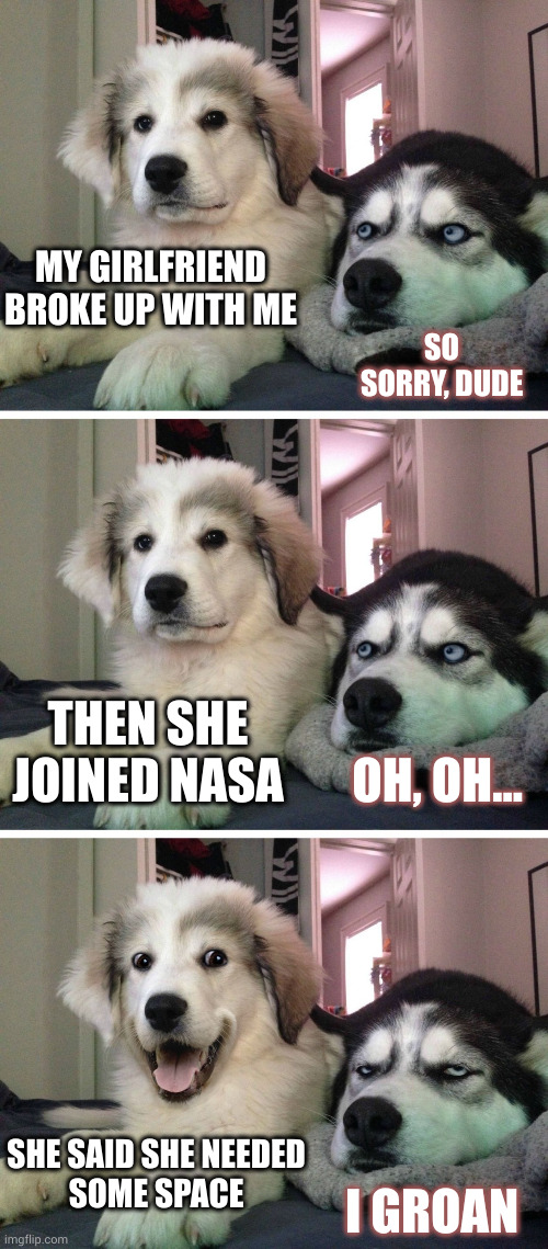 My ex joined NASA | MY GIRLFRIEND BROKE UP WITH ME; SO SORRY, DUDE; THEN SHE JOINED NASA; OH, OH... SHE SAID SHE NEEDED 
SOME SPACE; I GROAN | image tagged in dog bad joke,memes,bad pun dog,nasa,breakup,groaner | made w/ Imgflip meme maker