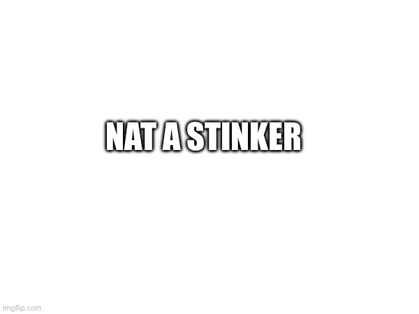 NAT A STINKER | made w/ Imgflip meme maker