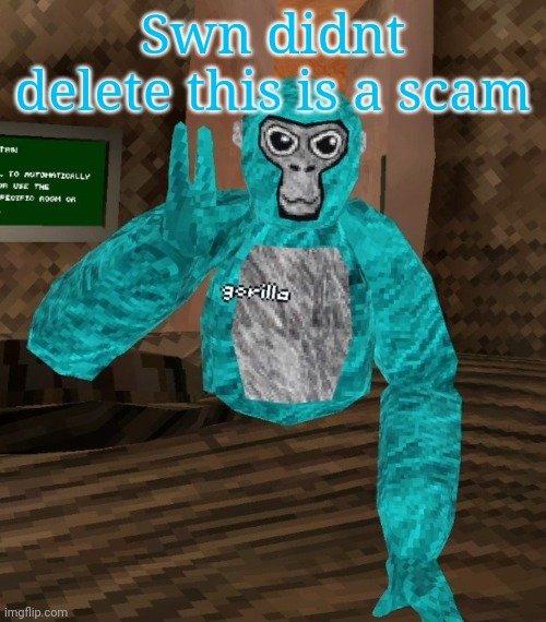 Monkey | Swn didnt delete this is a scam | image tagged in monkey | made w/ Imgflip meme maker