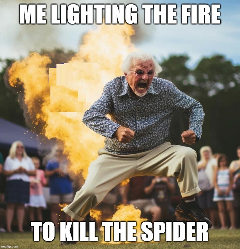 on fire | ME LIGHTING THE FIRE TO KILL THE SPIDER | image tagged in on fire | made w/ Imgflip meme maker