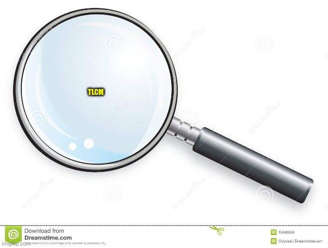 Magnifying Glass | TLCM | image tagged in magnifying glass | made w/ Imgflip meme maker