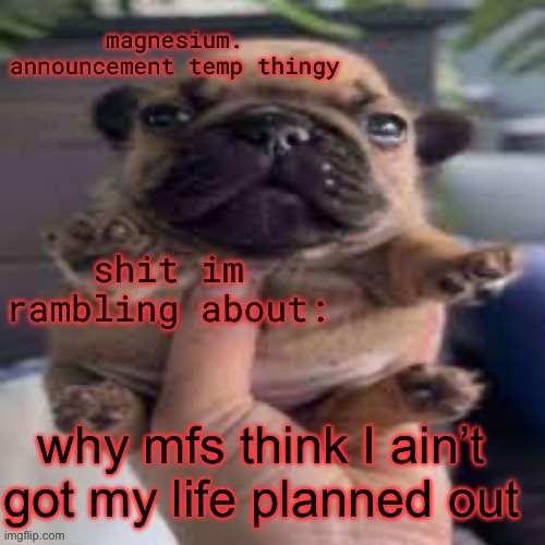 like I bet you’re isn’t | why mfs think I ain’t got my life planned out | image tagged in pug temp | made w/ Imgflip meme maker
