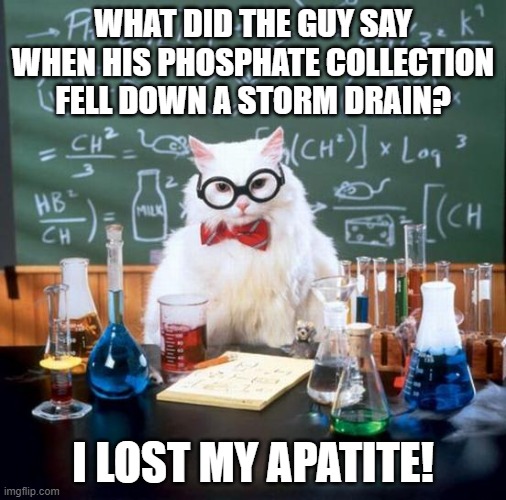 Chemistry Cat | WHAT DID THE GUY SAY WHEN HIS PHOSPHATE COLLECTION FELL DOWN A STORM DRAIN? I LOST MY APATITE! | image tagged in memes,chemistry cat,geology,chemistry | made w/ Imgflip meme maker