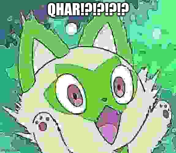 Sprigatito shocked | QHAR!?!?!?!? | image tagged in sprigatito shocked | made w/ Imgflip meme maker