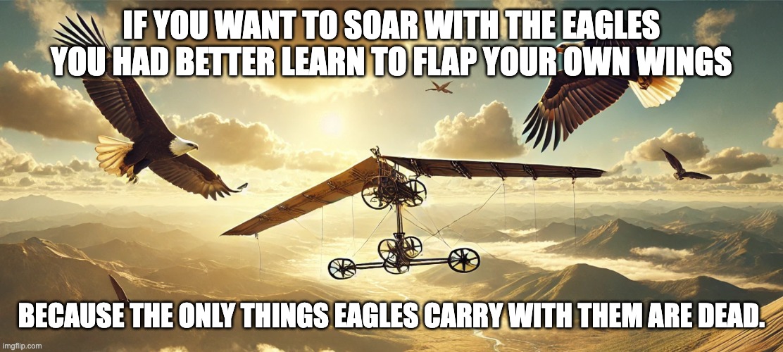 Soaring with Eagles | IF YOU WANT TO SOAR WITH THE EAGLES YOU HAD BETTER LEARN TO FLAP YOUR OWN WINGS; BECAUSE THE ONLY THINGS EAGLES CARRY WITH THEM ARE DEAD. | image tagged in soaring with eagles,aspiring,funny meme,soaring,eagles | made w/ Imgflip meme maker