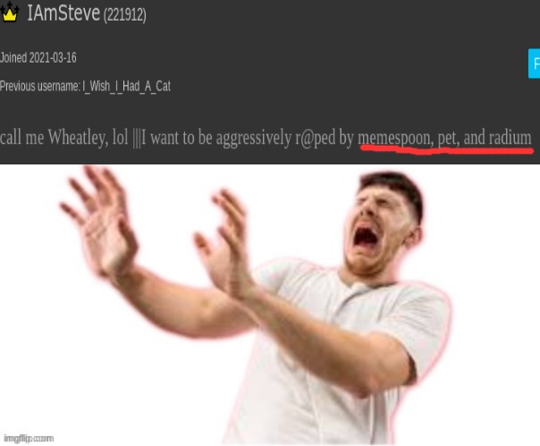 mid choices | image tagged in he left all caps on custom | made w/ Imgflip meme maker