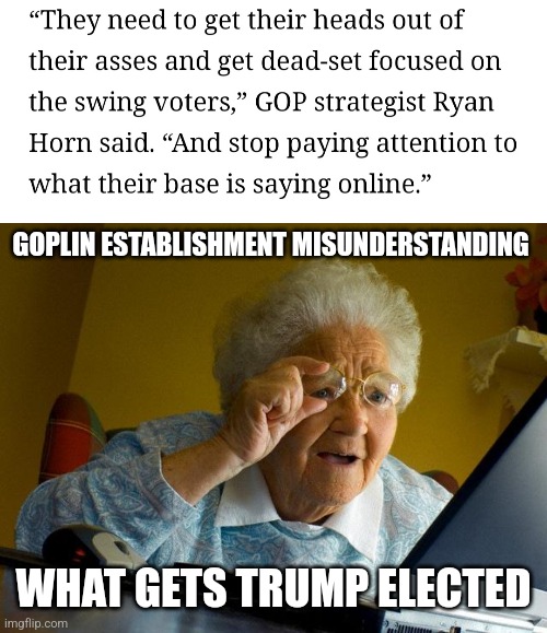 Just piss off your diehards huh? Smort idea lmao | GOPLIN ESTABLISHMENT MISUNDERSTANDING; WHAT GETS TRUMP ELECTED | image tagged in memes,grandma finds the internet | made w/ Imgflip meme maker