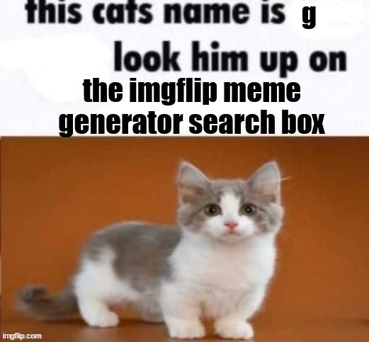 also do it when your parents are next to you | g; the imgflip meme generator search box | image tagged in this cats name is blank | made w/ Imgflip meme maker