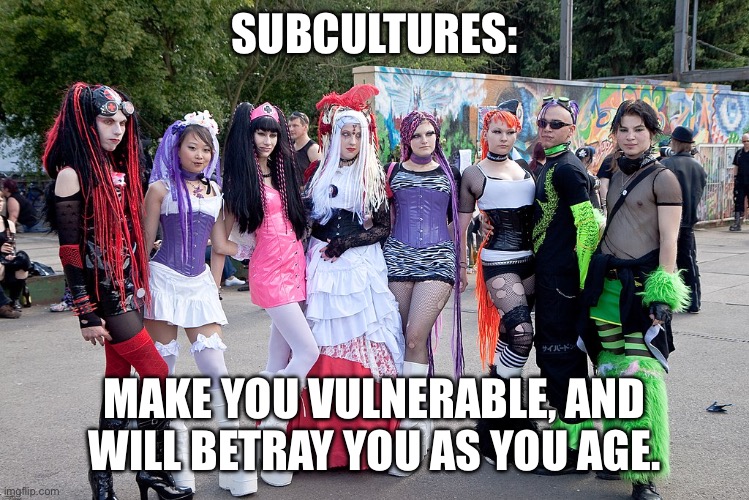 SUBCULTURES:; MAKE YOU VULNERABLE, AND WILL BETRAY YOU AS YOU AGE. | made w/ Imgflip meme maker