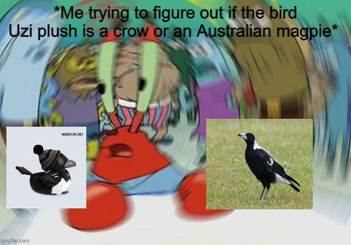 help | *Me trying to figure out if the bird Uzi plush is a crow or an Australian magpie* | image tagged in memes,mr krabs blur meme,murder drones | made w/ Imgflip meme maker