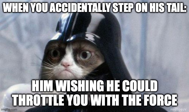 Grumpy Cat Star Wars | WHEN YOU ACCIDENTALLY STEP ON HIS TAIL:; HIM WISHING HE COULD THROTTLE YOU WITH THE FORCE | image tagged in memes,grumpy cat star wars,grumpy cat | made w/ Imgflip meme maker