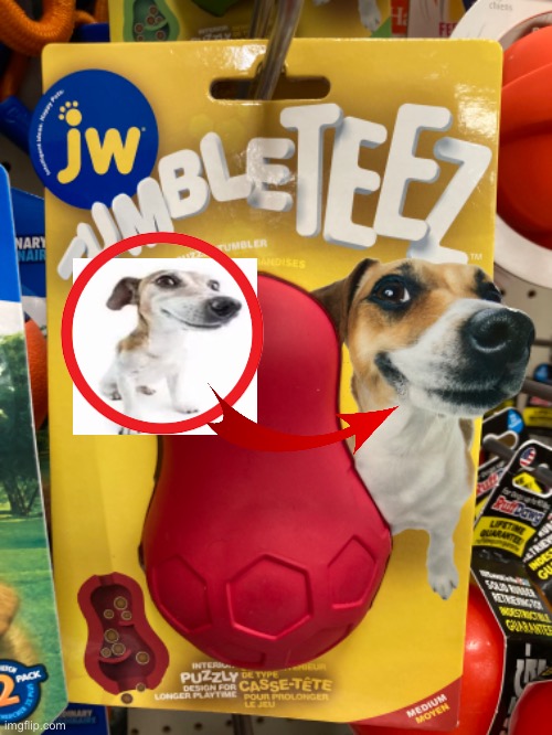 What the dog doin? | made w/ Imgflip meme maker