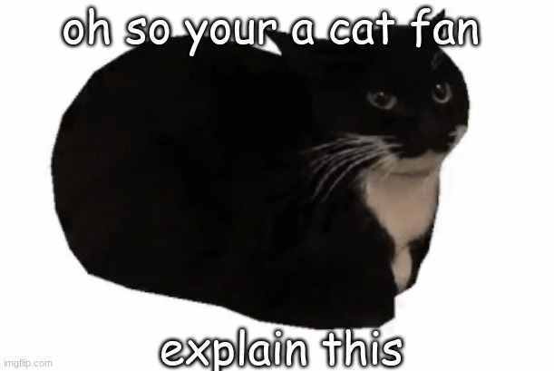 maxwell the cat | oh so your a cat fan; explain this | image tagged in maxwell the cat | made w/ Imgflip meme maker