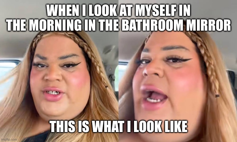 Very Demure, Very Mindful | WHEN I LOOK AT MYSELF IN THE MORNING IN THE BATHROOM MIRROR; THIS IS WHAT I LOOK LIKE | image tagged in very demure very mindful,ein,ahhhhhhhhhhhhh,memes | made w/ Imgflip meme maker