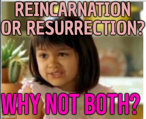 Reincarnation Or Resurrection? Why Not Both? | REINCARNATION
OR RESURRECTION? WHY NOT BOTH? | image tagged in why not both,reincarnation,resurrection,religion,god religion universe,life | made w/ Imgflip meme maker