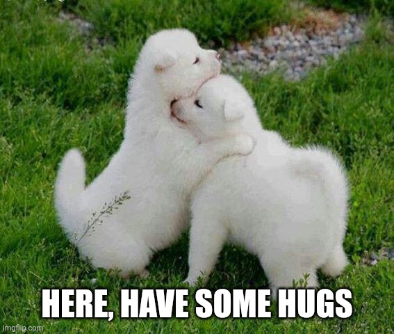 Hugging puppies | HERE, HAVE SOME HUGS | image tagged in hugging puppies | made w/ Imgflip meme maker