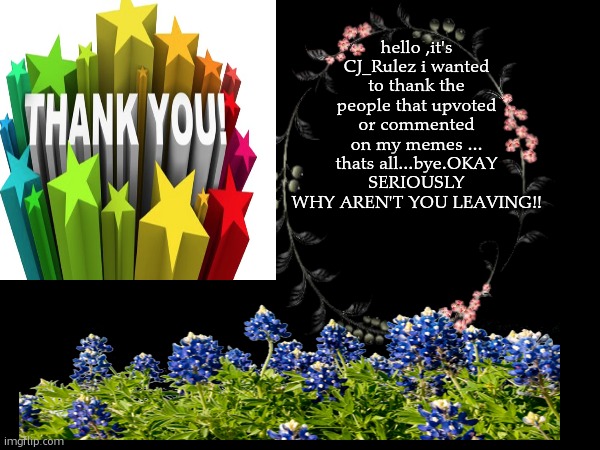 thank you. | hello ,it's CJ_Rulez i wanted to thank the people that upvoted or commented on my memes ... thats all...bye.OKAY SERIOUSLY WHY AREN'T YOU LEAVING!! | image tagged in thank you,flowers | made w/ Imgflip meme maker