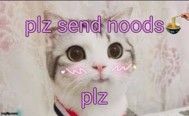 plz send noods cat | image tagged in plz send noods cat | made w/ Imgflip meme maker