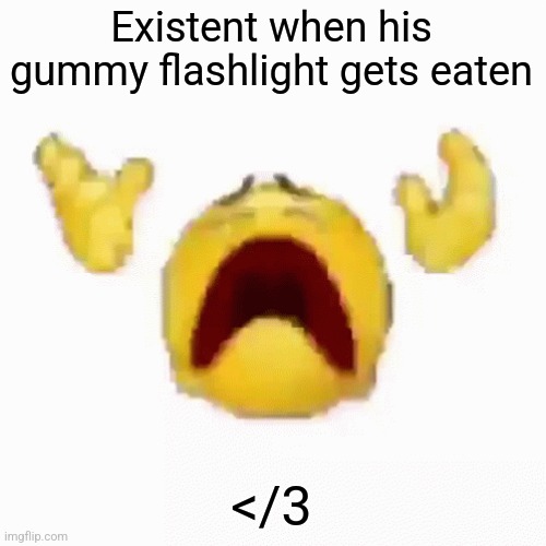 :nooo: | Existent when his gummy flashlight gets eaten; </3 | image tagged in nooo | made w/ Imgflip meme maker