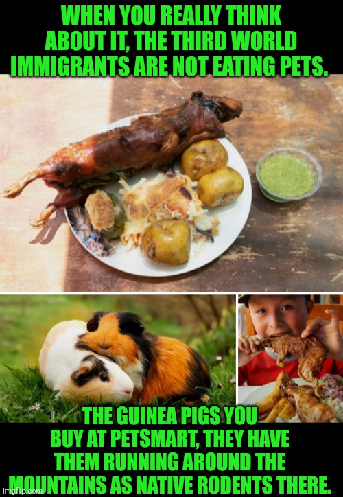 Funny | WHEN YOU REALLY THINK ABOUT IT, THE THIRD WORLD IMMIGRANTS ARE NOT EATING PETS. THE GUINEA PIGS YOU BUY AT PETSMART, THEY HAVE THEM RUNNING AROUND THE MOUNTAINS AS NATIVE RODENTS THERE. | image tagged in funny,food,immigrants,pets,eating,mountains | made w/ Imgflip meme maker