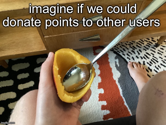 IcyXD FEET!!! v5 | imagine if we could donate points to other users | image tagged in icyxd feet v5 | made w/ Imgflip meme maker