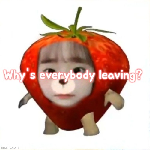 Watch them pull back up later lmao, hope so | Why's everybody leaving? | image tagged in strawberry chuu | made w/ Imgflip meme maker