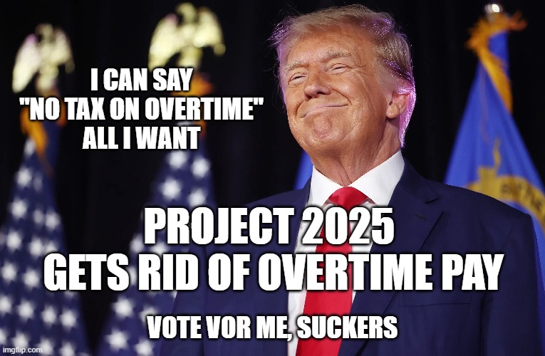 I CAN SAY
"NO TAX ON OVERTIME"
ALL I WANT; PROJECT 2025 
GETS RID OF OVERTIME PAY; VOTE VOR ME, SUCKERS | made w/ Imgflip meme maker