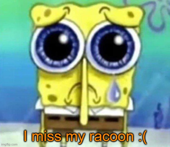 RIP Lil Rocket | I miss my racoon :( | image tagged in sad spongebob | made w/ Imgflip meme maker