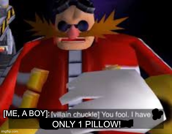 Eggman Alternative Accounts | [ME, A BOY]: ONLY 1 PILLOW! | image tagged in eggman alternative accounts | made w/ Imgflip meme maker