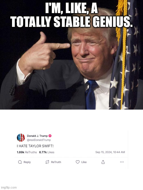 I'M, LIKE, A TOTALLY STABLE GENIUS. | image tagged in stable genius | made w/ Imgflip meme maker