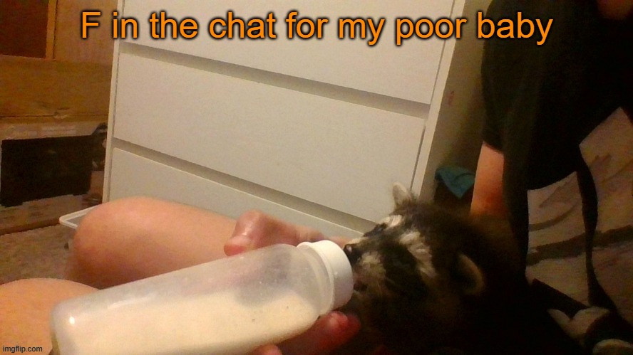 :((( | F in the chat for my poor baby | made w/ Imgflip meme maker