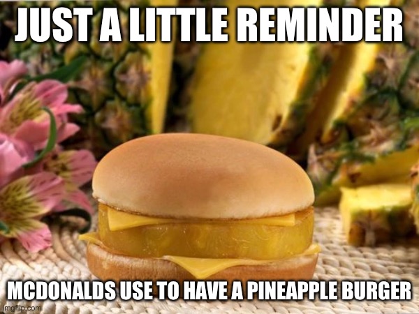 WHY DOES THIS EXIST?! | JUST A LITTLE REMINDER; MCDONALDS USE TO HAVE A PINEAPPLE BURGER | image tagged in food,mcdonalds,memes,reminder,funny,fun | made w/ Imgflip meme maker