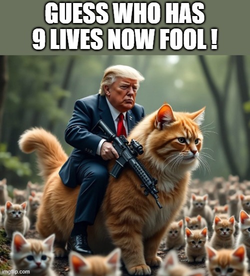 Guess who Has 9 Lives Now Fool ! | GUESS WHO HAS 9 LIVES NOW FOOL ! | image tagged in trump rides the kitty with a gun | made w/ Imgflip meme maker